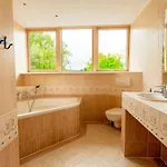 13P 5B Beautiful Villa With Pool And Jacuzzi * Heerhugowaard